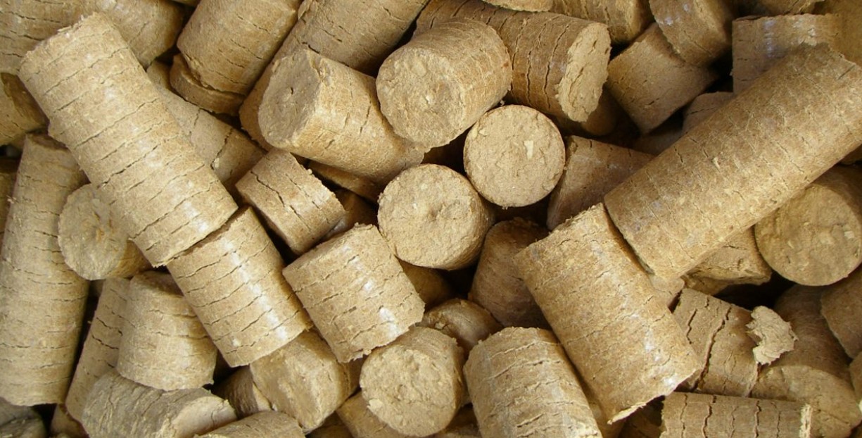 The 3 important reasons why you should buy a Briquette Machine