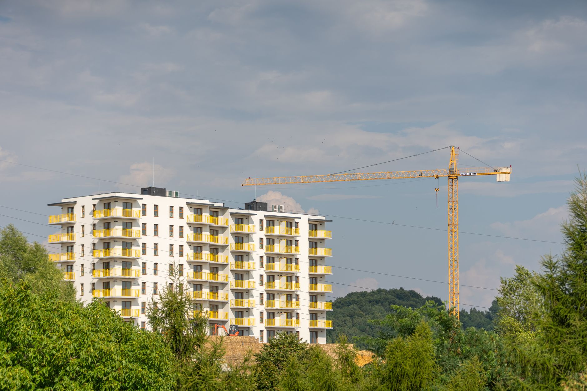 Stalled housing development site illustrating the impact of nutrient neutrality housing England planning blocks